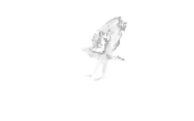 RSA Photographic Logo