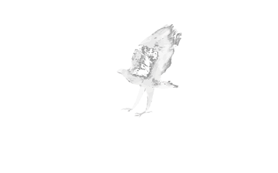 Scott Free Logo